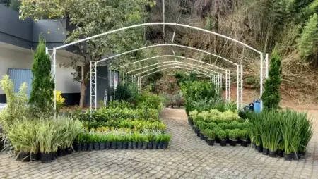 Garden - Emporium Garden